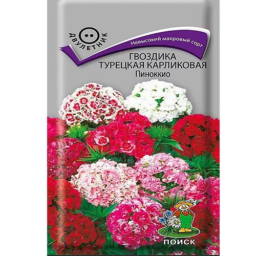 Гвоздики многолетние Семена Алтая цветы - купить по выгодным ценам в интернет-ма
